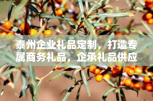 泰州企业礼品定制，打造专属商务礼品，企承礼品供应链助力企业需求