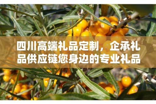 四川高端礼品定制，企承礼品供应链您身边的专业礼品定制公司